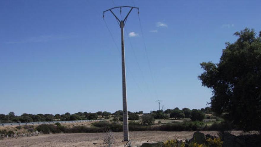 Torreta instalada de nuevo en la finca.