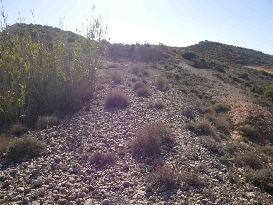 La primera y centenaria plataforma conserva el lecho de piedras en algunas zonas.