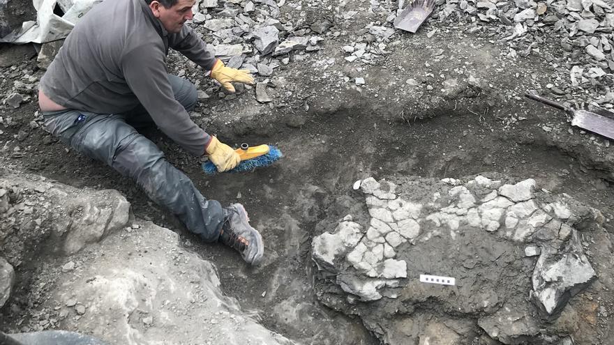 Trabajos de excavación de restos de la tortuga&#039; Leviathanochelys aenigmatica&#039;.