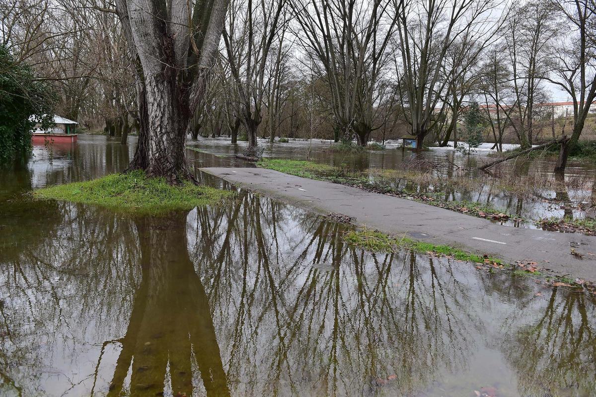 Fotogalería | El río se desborda en La Chopera de Plasencia