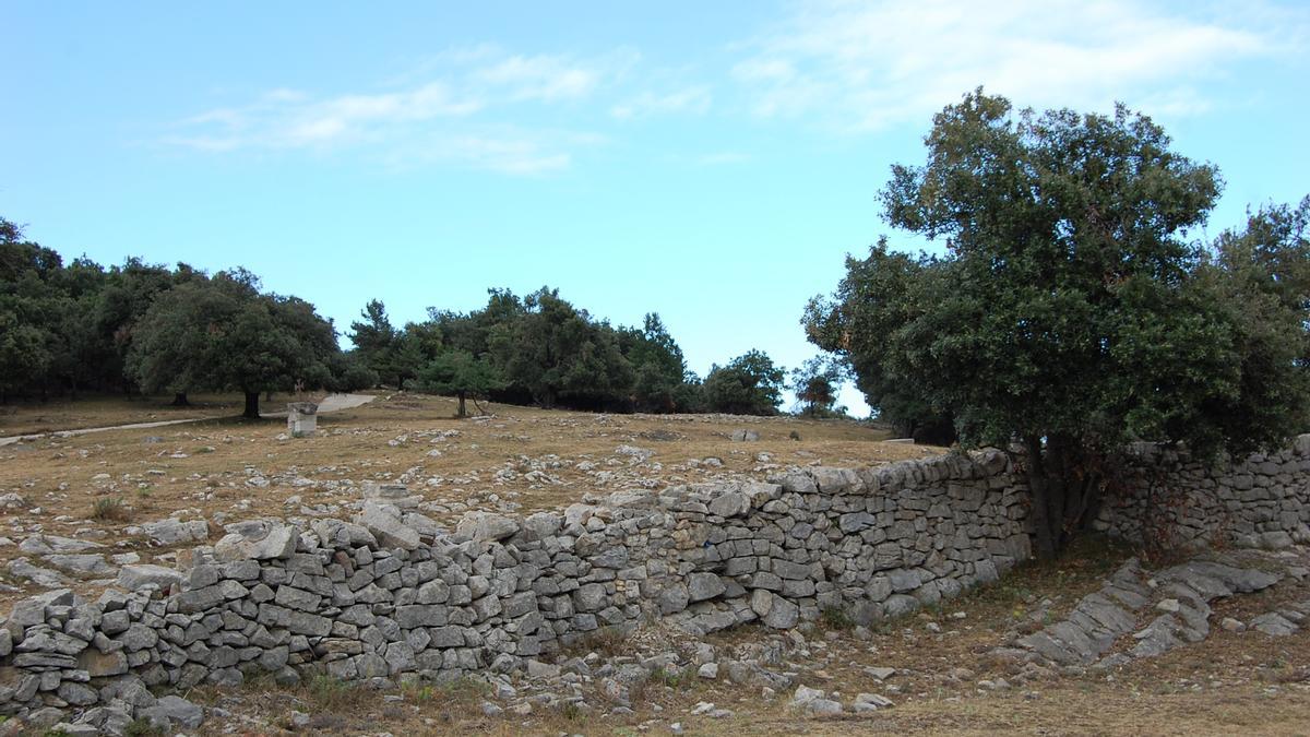 Adrinoc actua a les zone srurals per dinamitzar-les