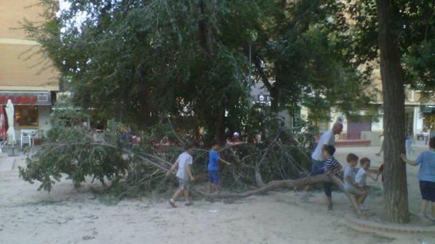 Ninguno de los niños de la plaza resultó herido.