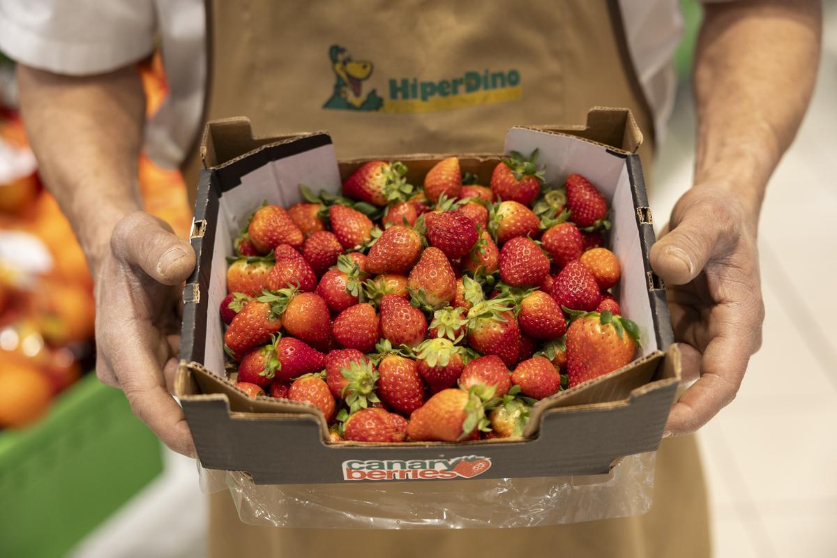 HiperDino comercializa 800.000 kg de fresa: la fruta de temporada al mejor precio y rica en vitaminas y sabor