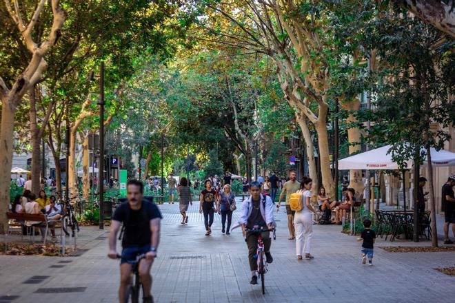 La Barcelona metropolitana blinda el futuro de los ejes verdes reformando la norma con la que los jueces tumbaron las 'Superilles'