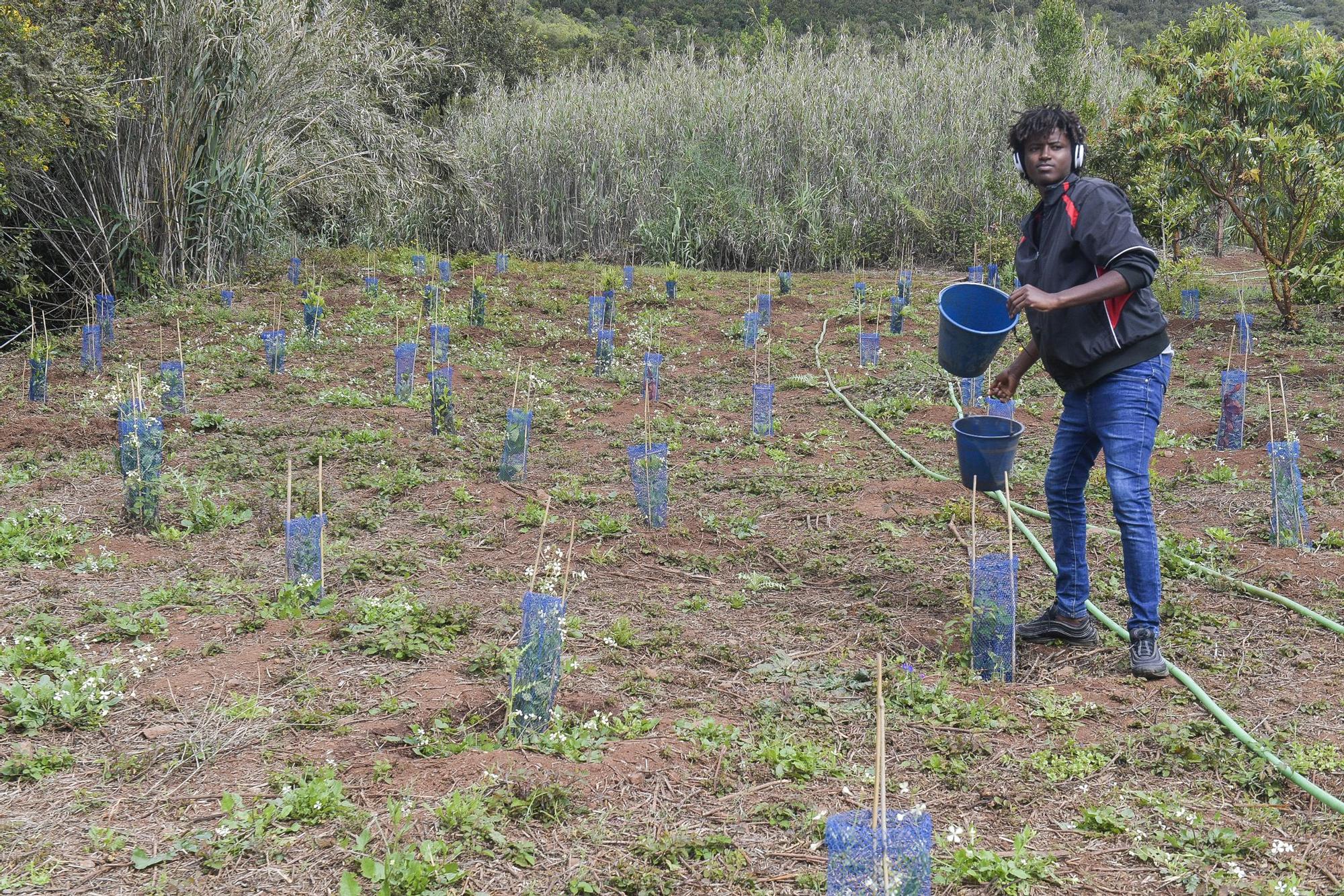 Proyecto “Sentir la Isleta: convivir para entender” en el que estudiantes del IES La Isleta y migrantes plantan árboles en Osorio junto a la Fundación Foresta.