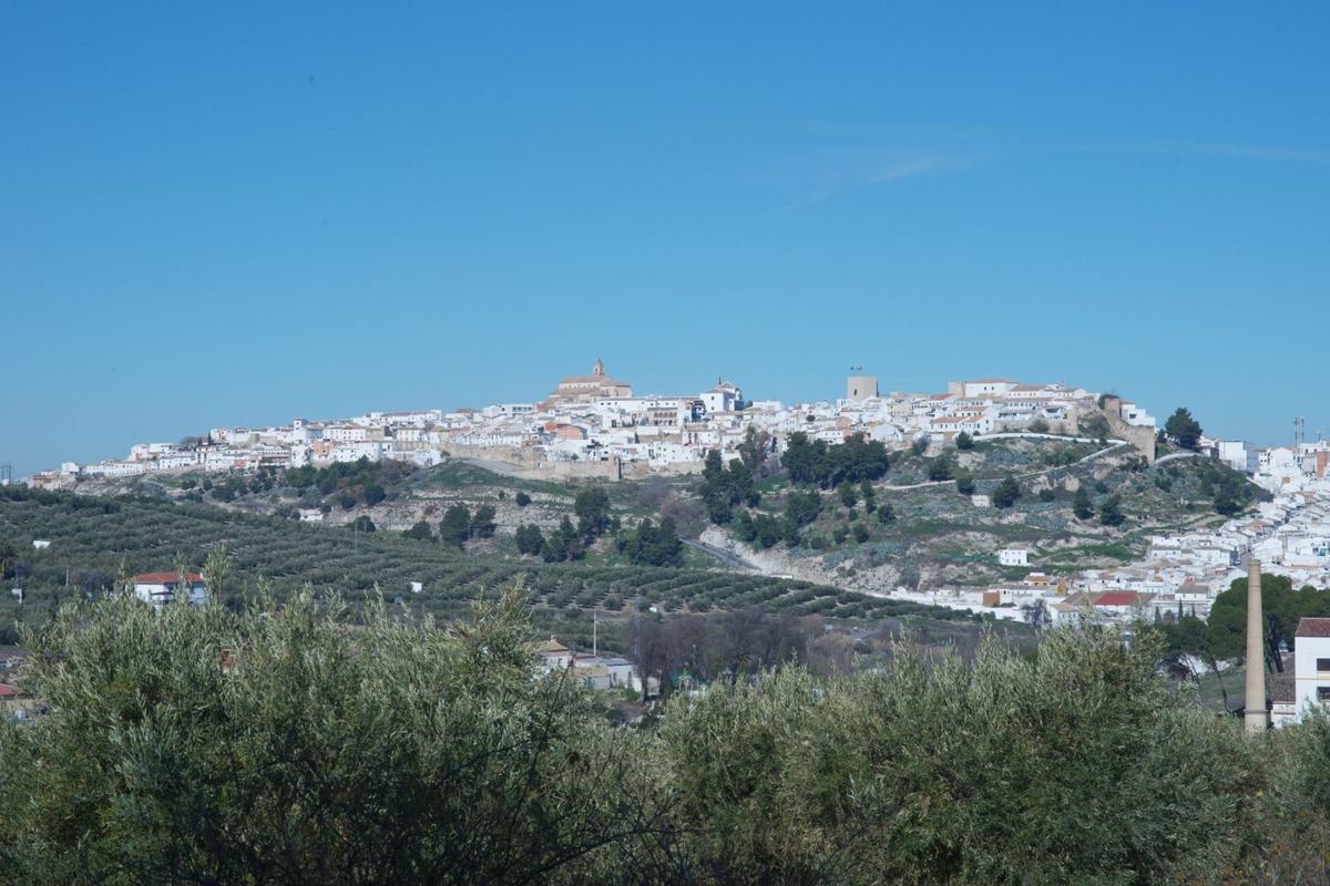 Vista general del casco urbano de Baena.