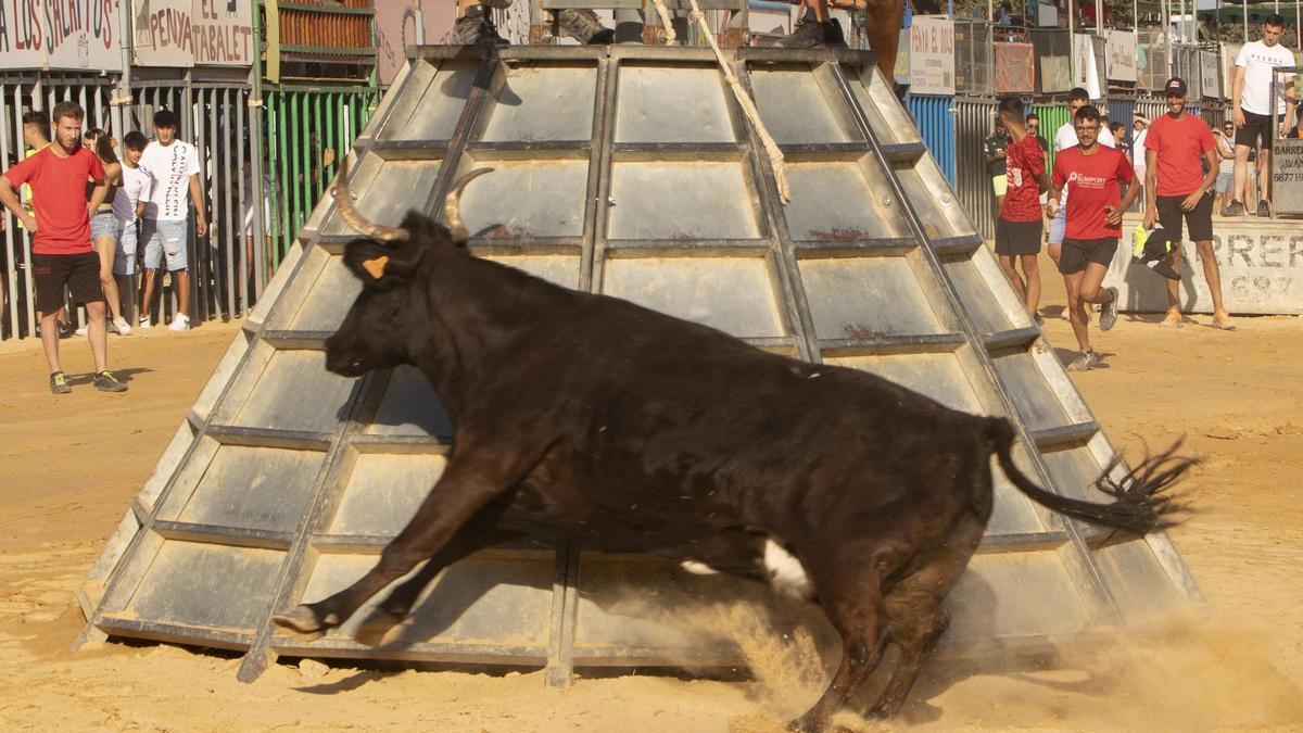 Imagen de archivo de los "bous al carrer"