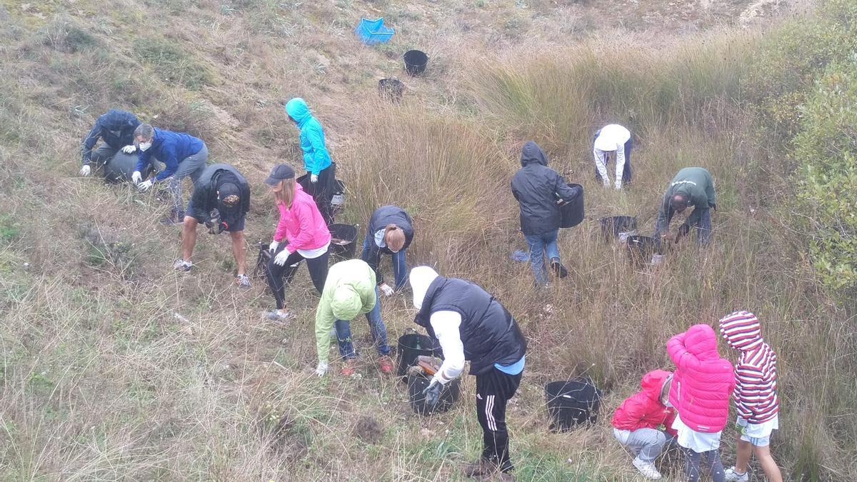 Los voluntarios peinaron el cordón dunar.