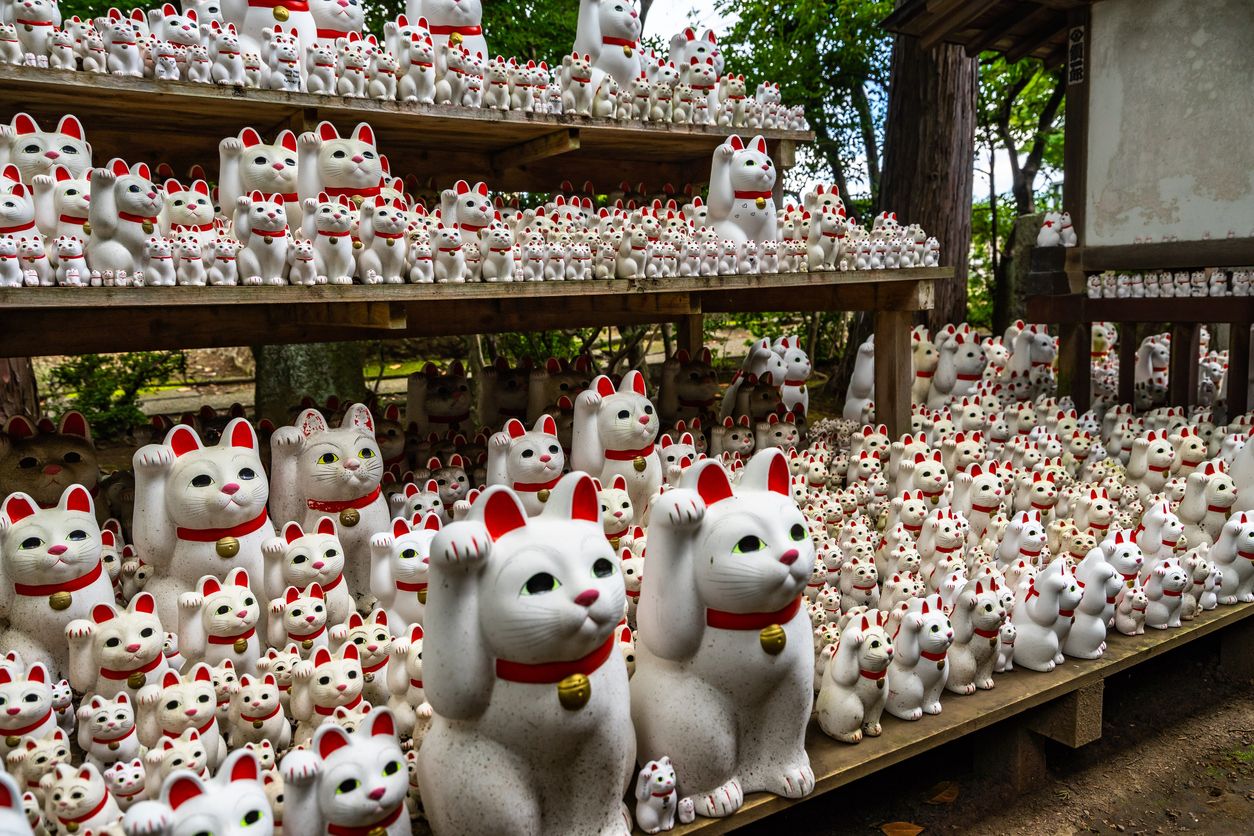 Un templo hecho por y para amantes de los gatos.