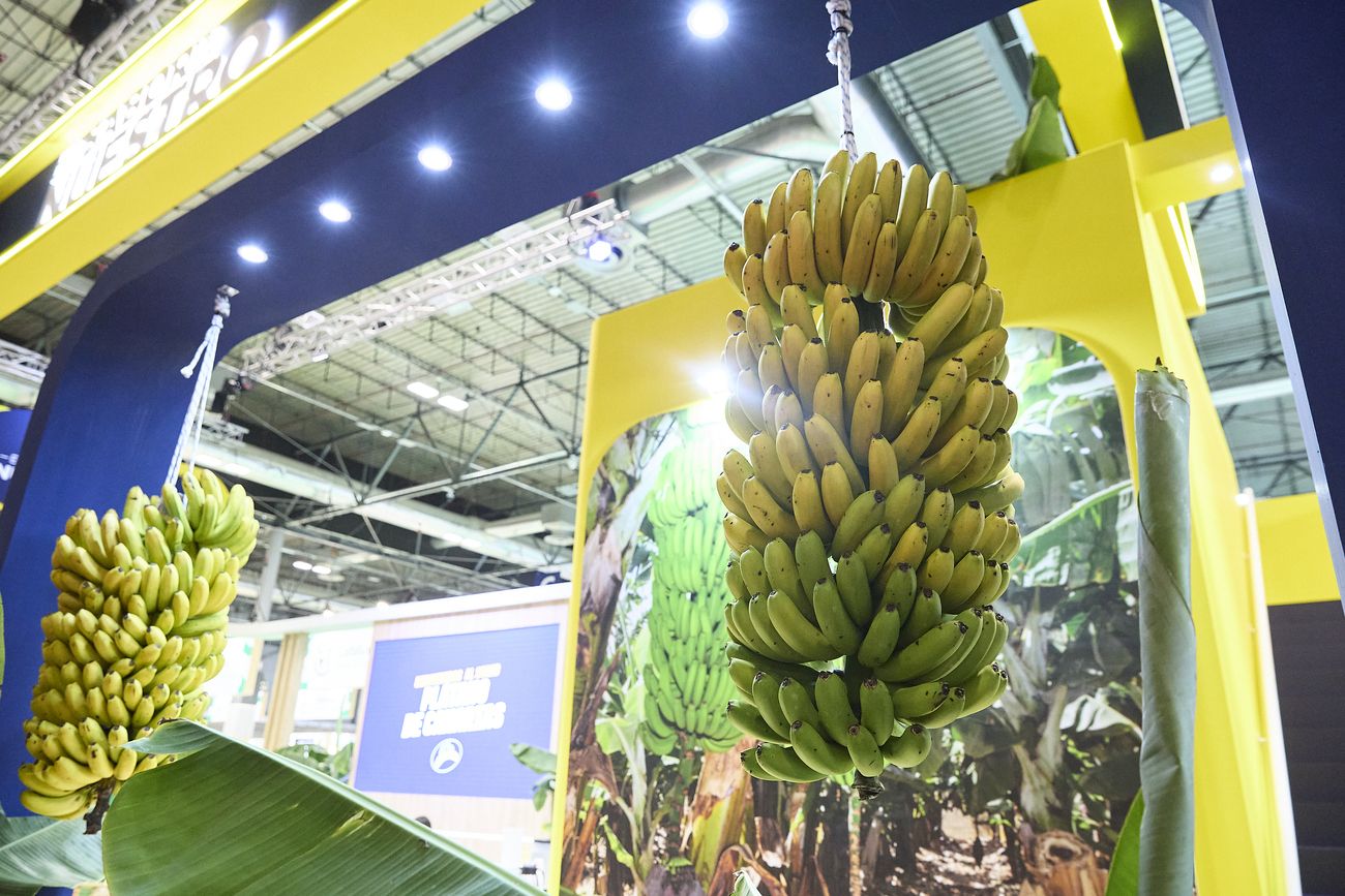 Canarias acude a la feria Fruit Attraction 2025 en Madrid