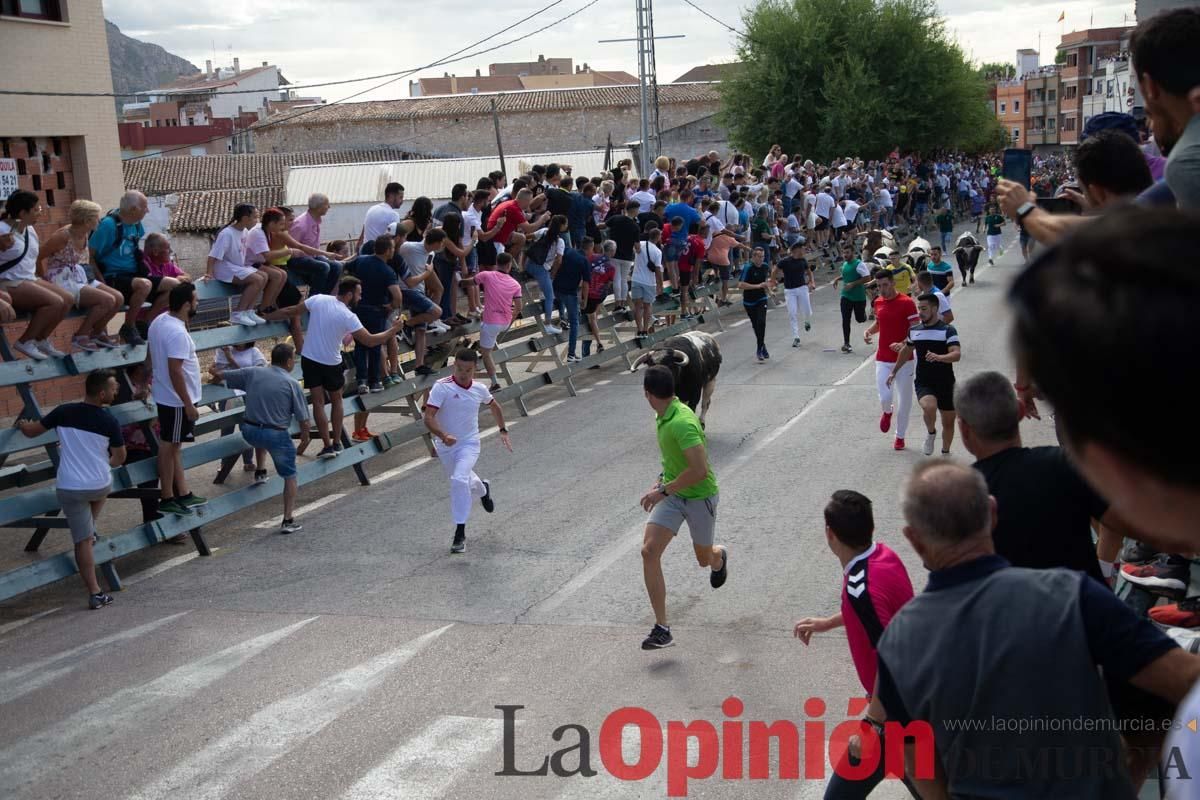 Primer encierro de la Feria del Arroz de Calasparra