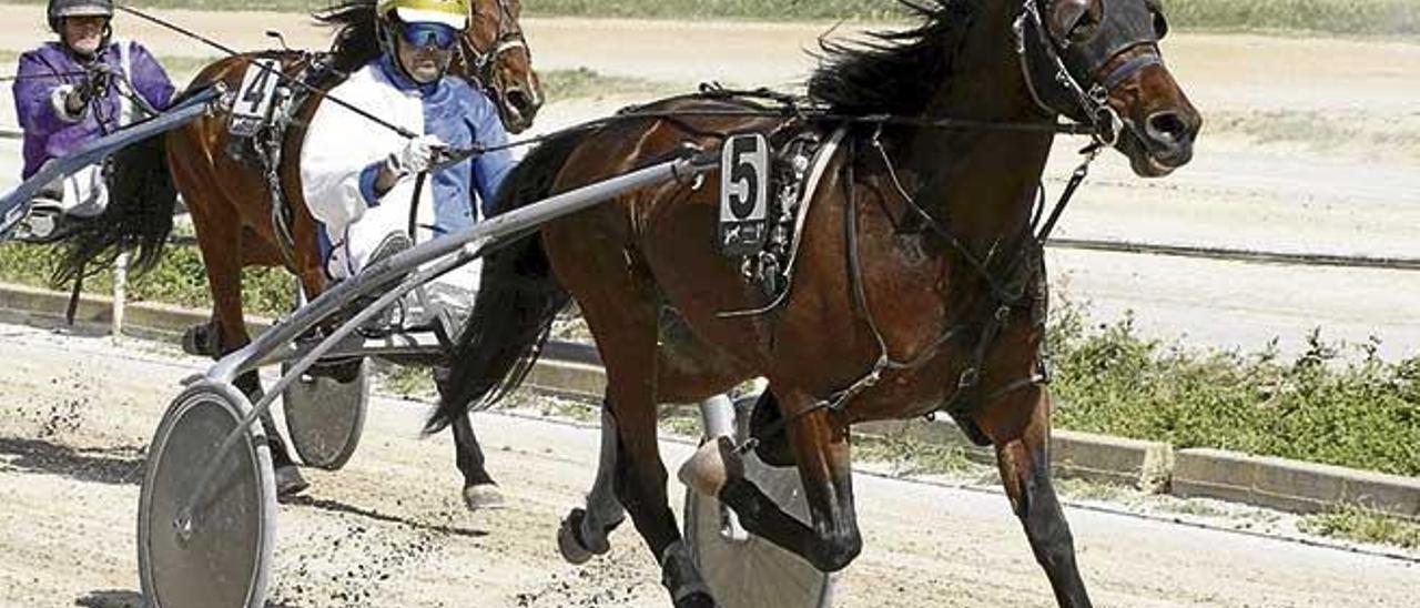 Fonoll de Font (5), ganando en Manacor con Miquel Mestre.