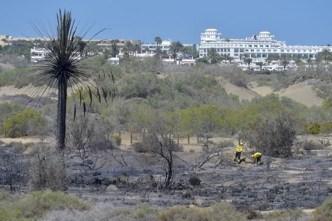 Incendio en la zona de las dunas de Maspalomas