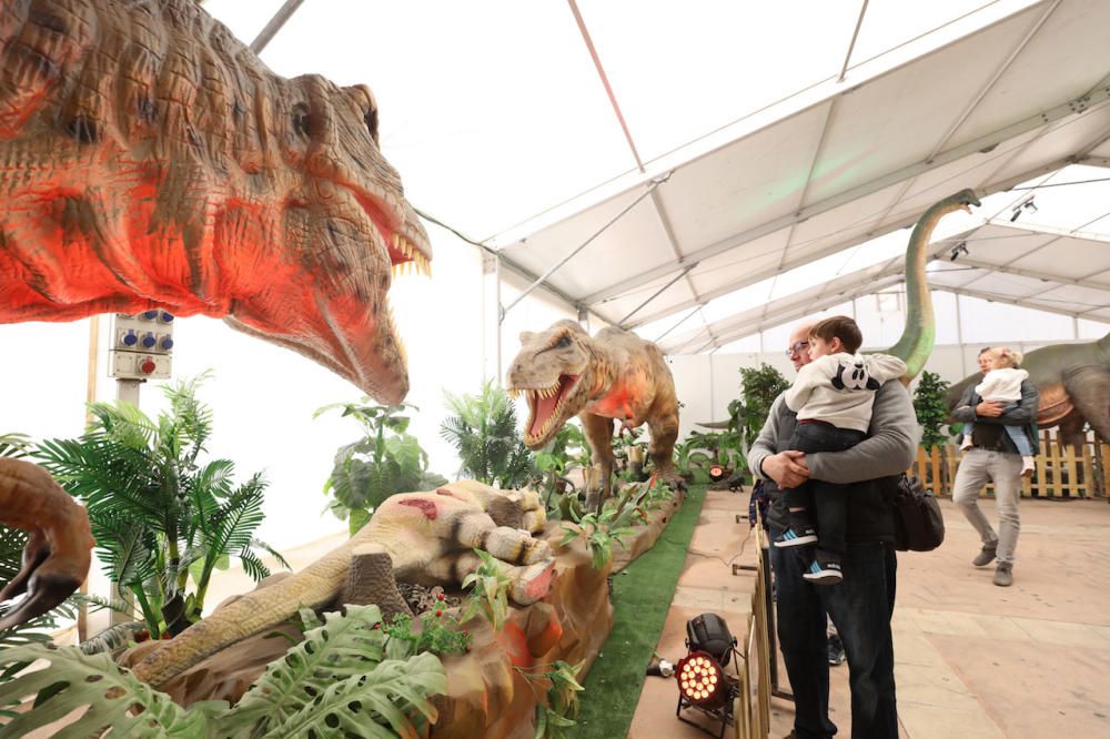 Así fue la exposición 'Dinosaurs Tour', que llegará a Mallorca, durante su paso por Ibiza