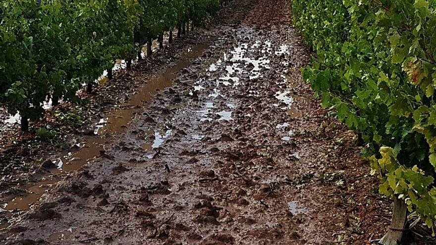 Los daños por fenómenos meteorológicos son crecientes,  pero en Andalucía no aumenta la contratación de seguros.