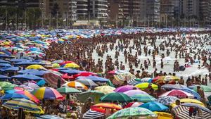 fcasals34780803 benidorm   alicante  21 7 2016   verano  turismo benidorm   160827175011