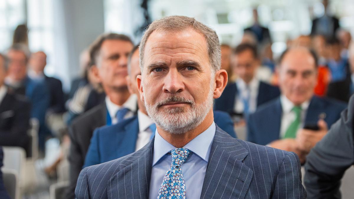 El Rey Felipe VI