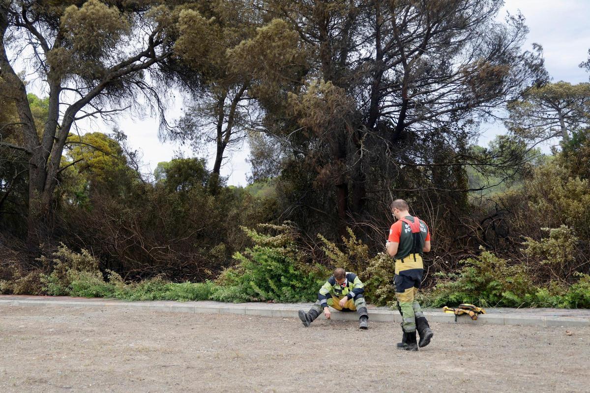 Las primeras imágenes del Saler tras el devastador incendio en la Devesa