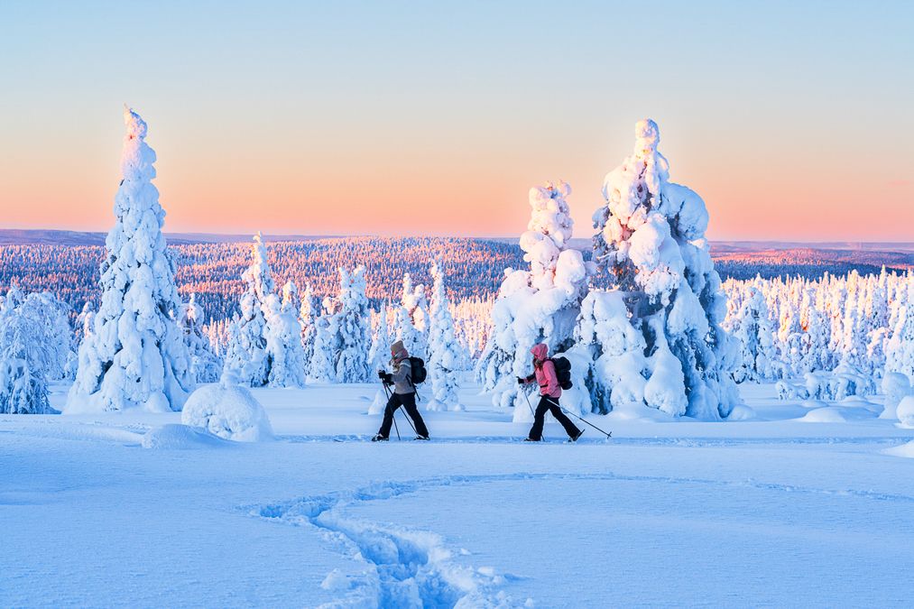 Caminar o desplazarse con esquís por paisajes cubiertos de nieve es una de las formas más auténticas de explorar el interior de Finlandia.