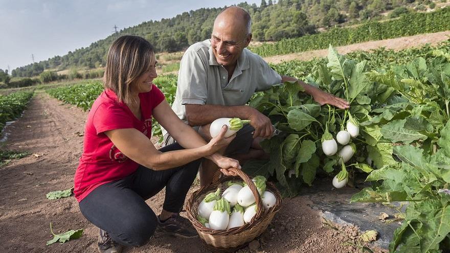 Productors d&#039;albergínia blanca del Bages