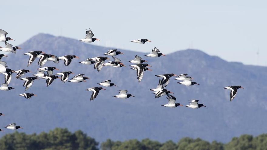 Transición Ecológica propone extender la Red Natura 2000 a toda la costa gallega