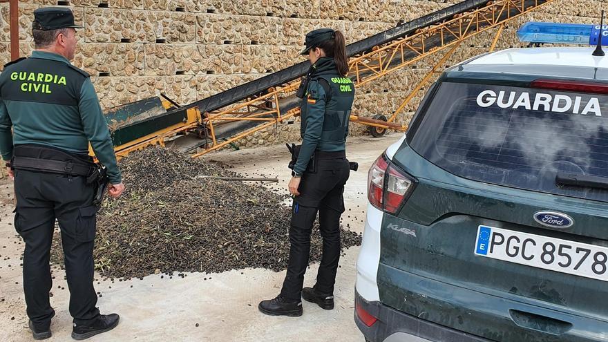 Tres detenidos por el robo de 600 kilos de aceituna en una finca de Espejo