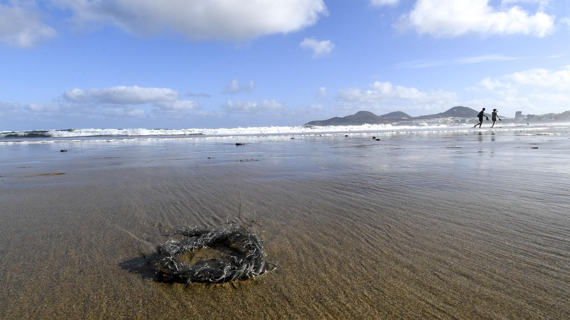 Microplásticos en Las Canteras