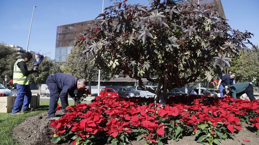 Empleo público: el Ayuntamiento de Córdoba convoca 36 plazas para varios departamentos municipales