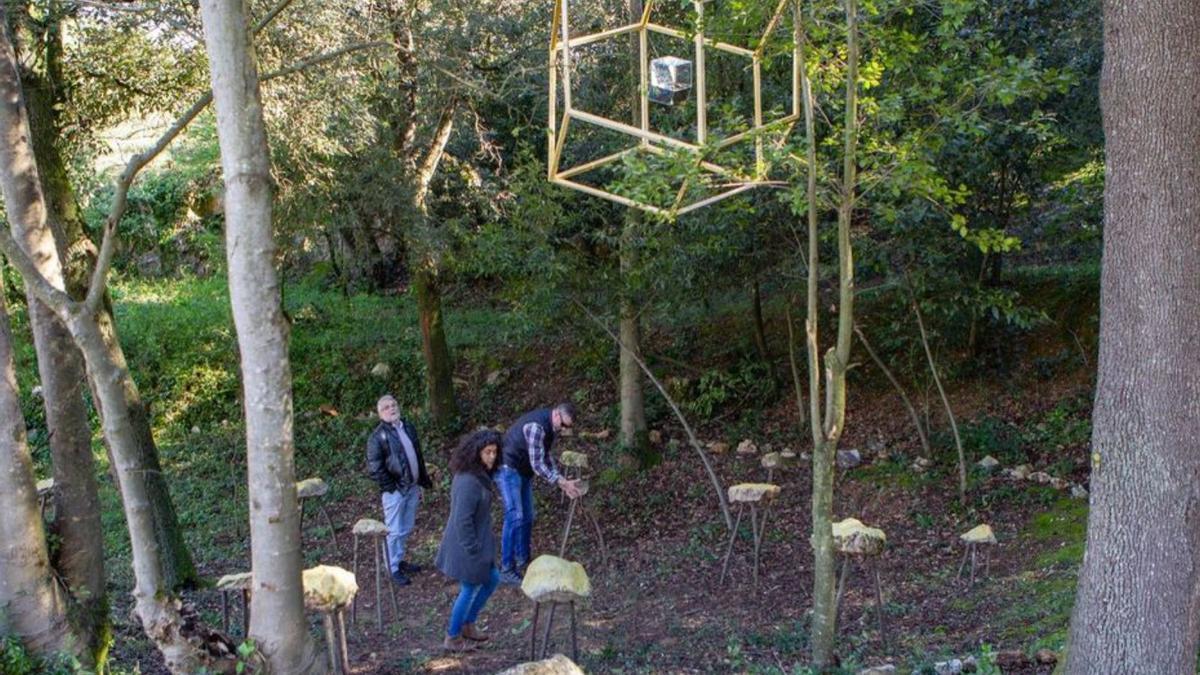 Una instal·lació del Festival Art i Gavarres