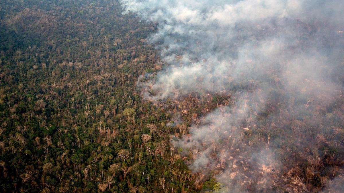 Incendios forestales en Brasil