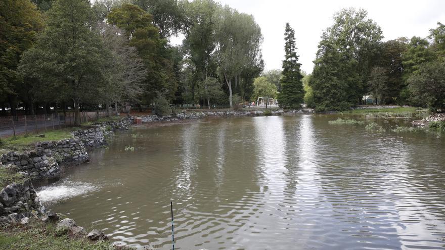 Colectivos ornitológicos critican la falta de agua en el parque de Isabel la Católica