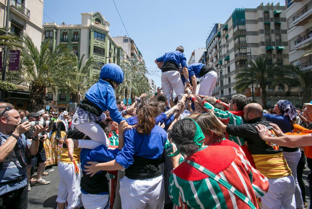 Las torres humanas construídas esta mañana en Alicante han logrado sorprender al público y crear un ambiente tradicional.