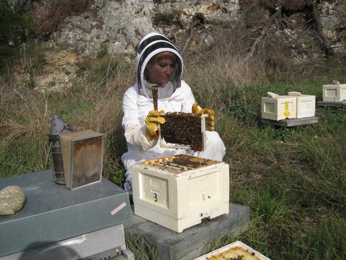 Cristina trabajando en sus investigaciones con polinizadores