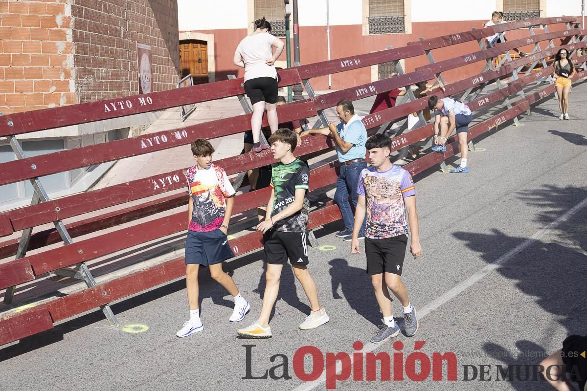 Séptimo encierro de las Fiestas de Moratalla