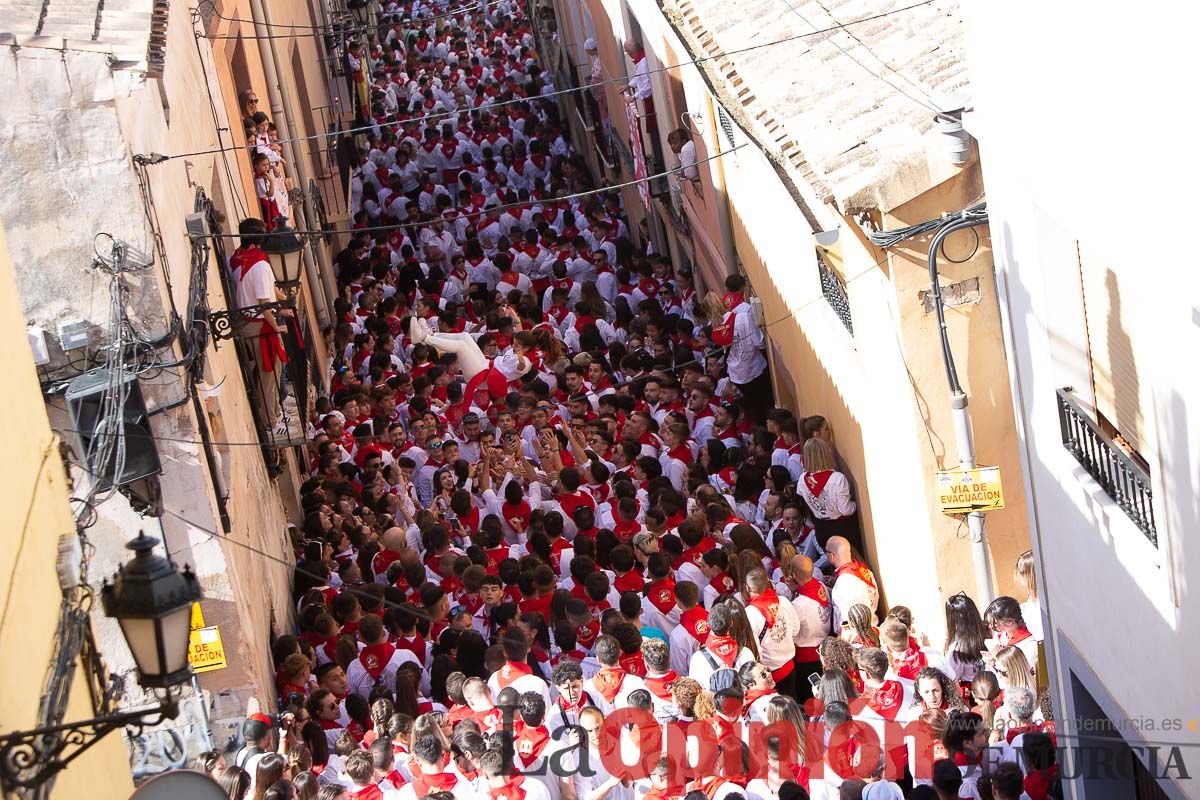 Caballos del Vino en la cuesta de la Simona