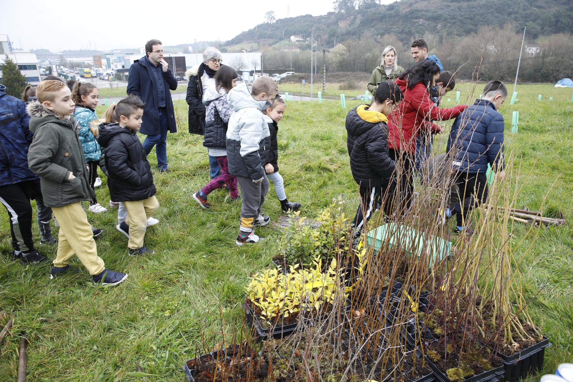 En imágenes: La alcaldesa de Gijón, en la plantación de árboles autóctonos en Somonte