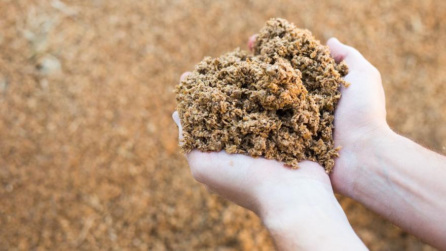 Hijos de Rivera se alía con Blendhub para desarrollar alimentos del futuro que aprovechen el bagazo