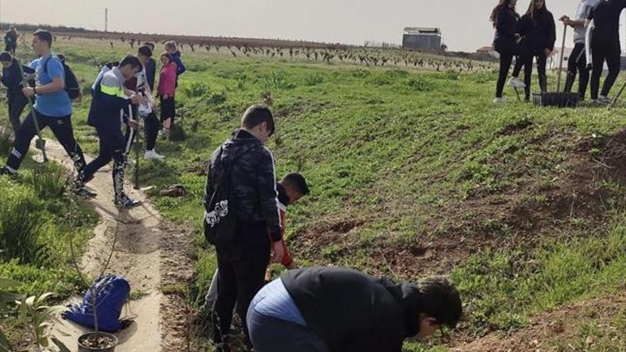 Los colegios Montero y Espronceda se suman a la plantación de árboles