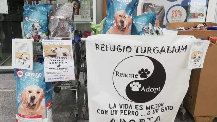 El refugio de animales Turgalium recoge 194 kilos de pienso donado