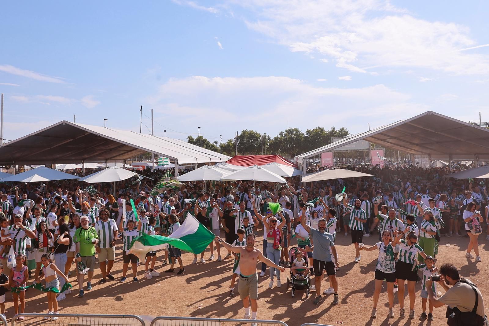 El Córdoba CF vuelve a Segunda / Las mejores imágenes de una noche para la historia