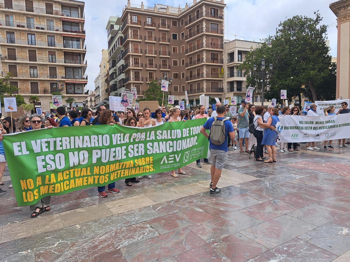 Lectura del manifiesto en la Plaza de la Virgen de València
