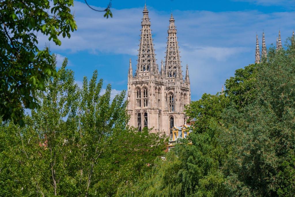 Agujas de la catedral. 