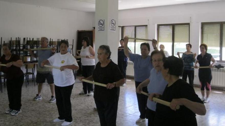 Un grupo de jubilados de Santa María de la Vega, en la mañana de ayer, realizando ejercicios de gimnasia.