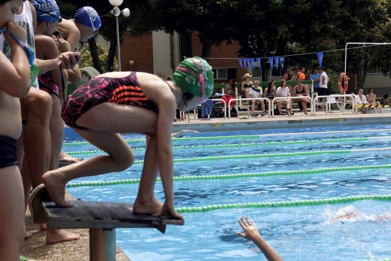 Fotogalería de las 12 horas del Olivar de natación