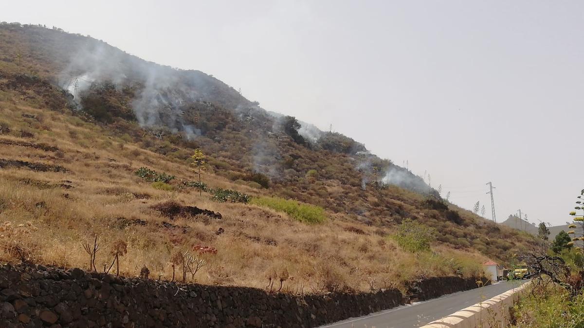 Incendio forestal en Los Campitos