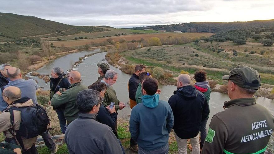 La reintroducción del lince en Zamora, en el aire