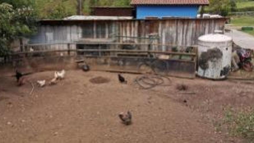 L&#039;amo d&#039;un hotel rural denúncia al pastor Nel Cañedo per les amenaces que va abocar