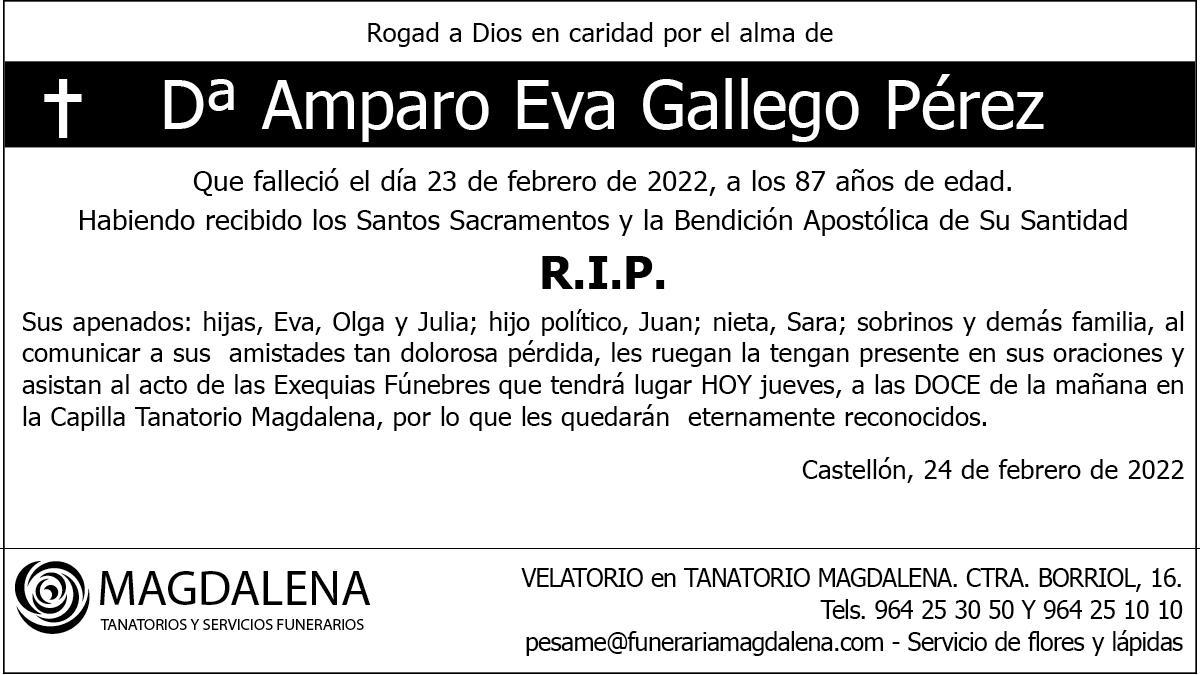 Dª Amparo Eva Gallego Pérez