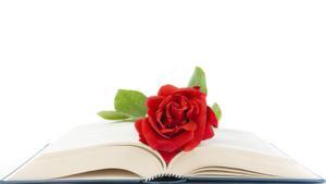 El Sant Jordi numantí de les petites editorials