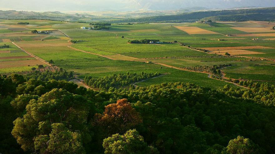 Valencia Ruta del Vino plantea un recorrido inolvidable por los diferentes paisajes del vino que ofrece la provincia.